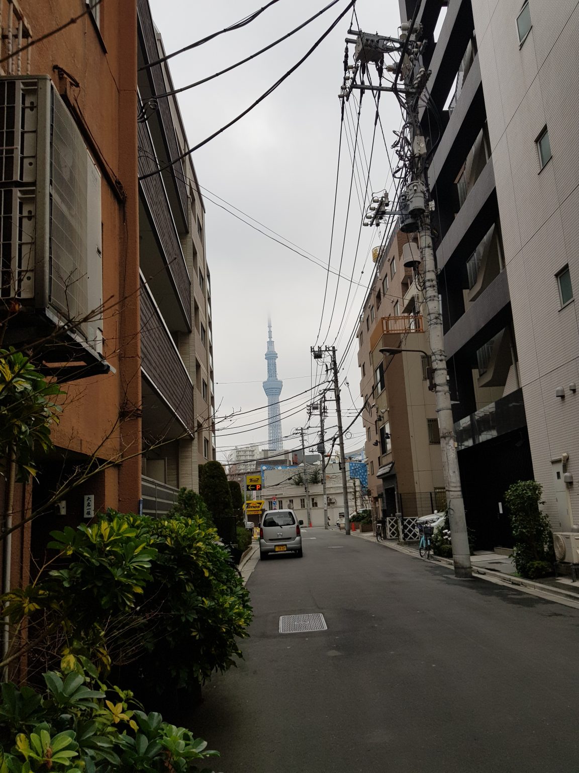 Japonija – dažniausi mitai ir tikrovė